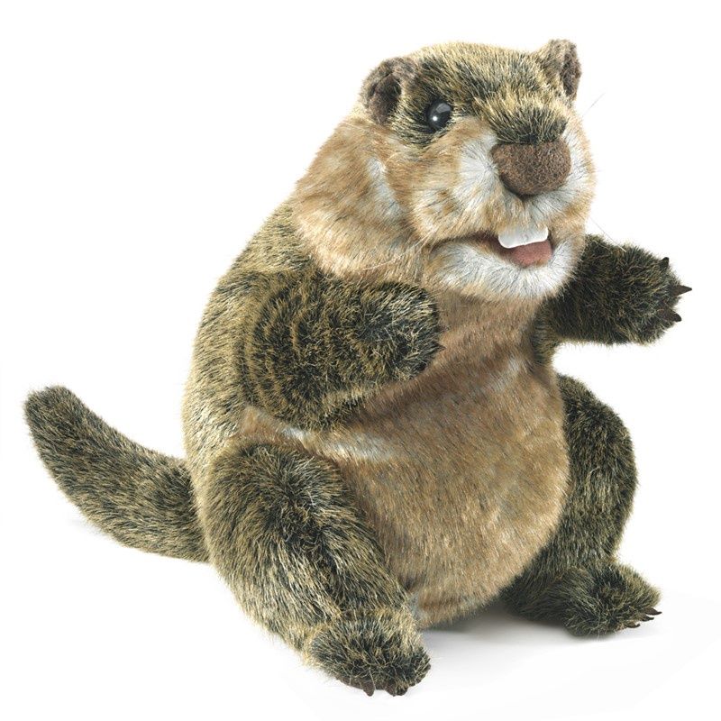 Folkmanis - Groundhog Hand Puppet