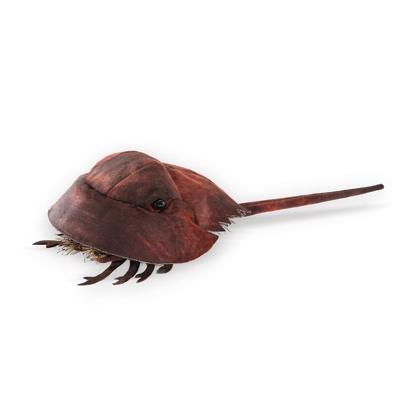 Folkmanis - Horseshoe Crab Hand Puppet