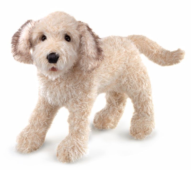 Folkmanis - Labradoodle Hand Puppet
