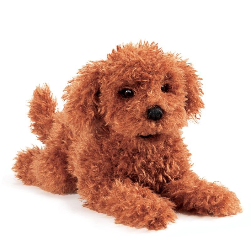 Folkmanis - Toy Poodle Puppy Hand Puppet