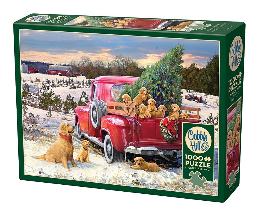 Cobble Hill 1000 Piece Puzzle - Family Outing