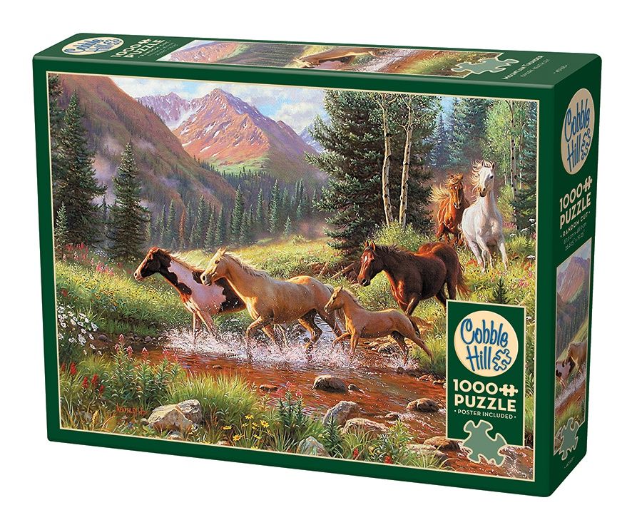 Cobble Hill 1000 Piece Puzzle - Mountain Thunder