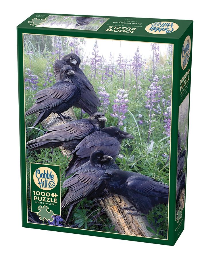 Cobble Hill 1000 Piece Puzzle - Raven Rendezvous