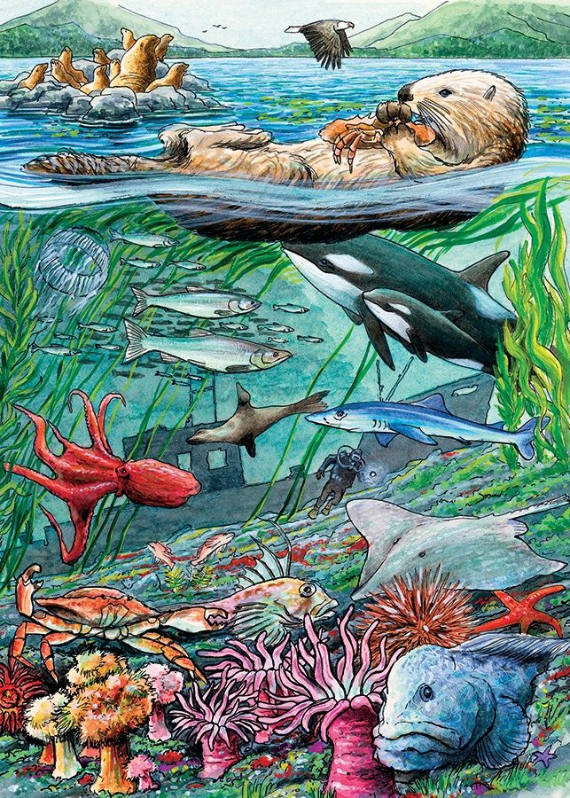 Cobble Hill 35 Piece Tray Puzzle - Life on the Pacific Ocean