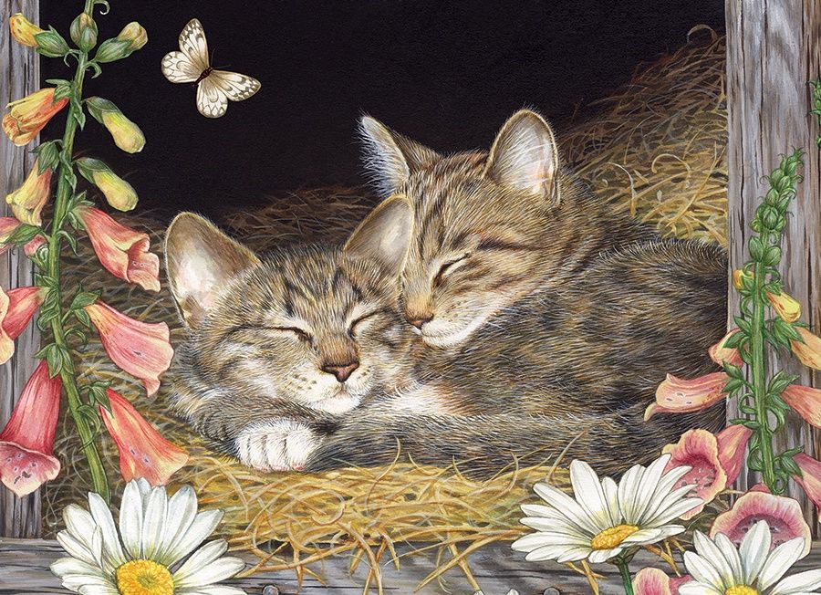 Cobble Hill 35 Piece Tray Puzzle - Morning Snooze