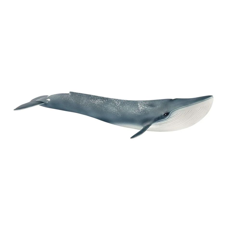 Schleich - Blue Whale