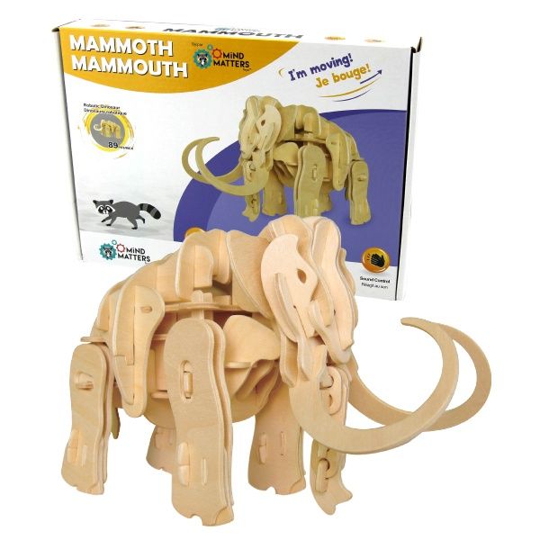 Mind Matters - Mammoth