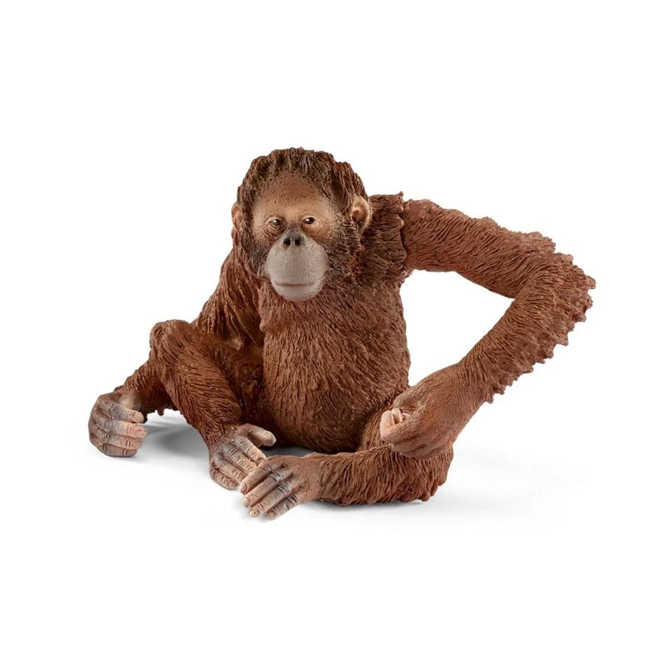 Schleich - Orangutan