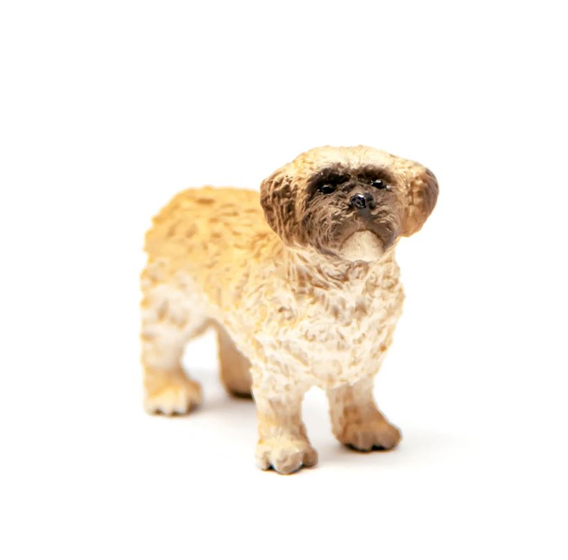 Schleich - Shih Tzu Malteser Mix