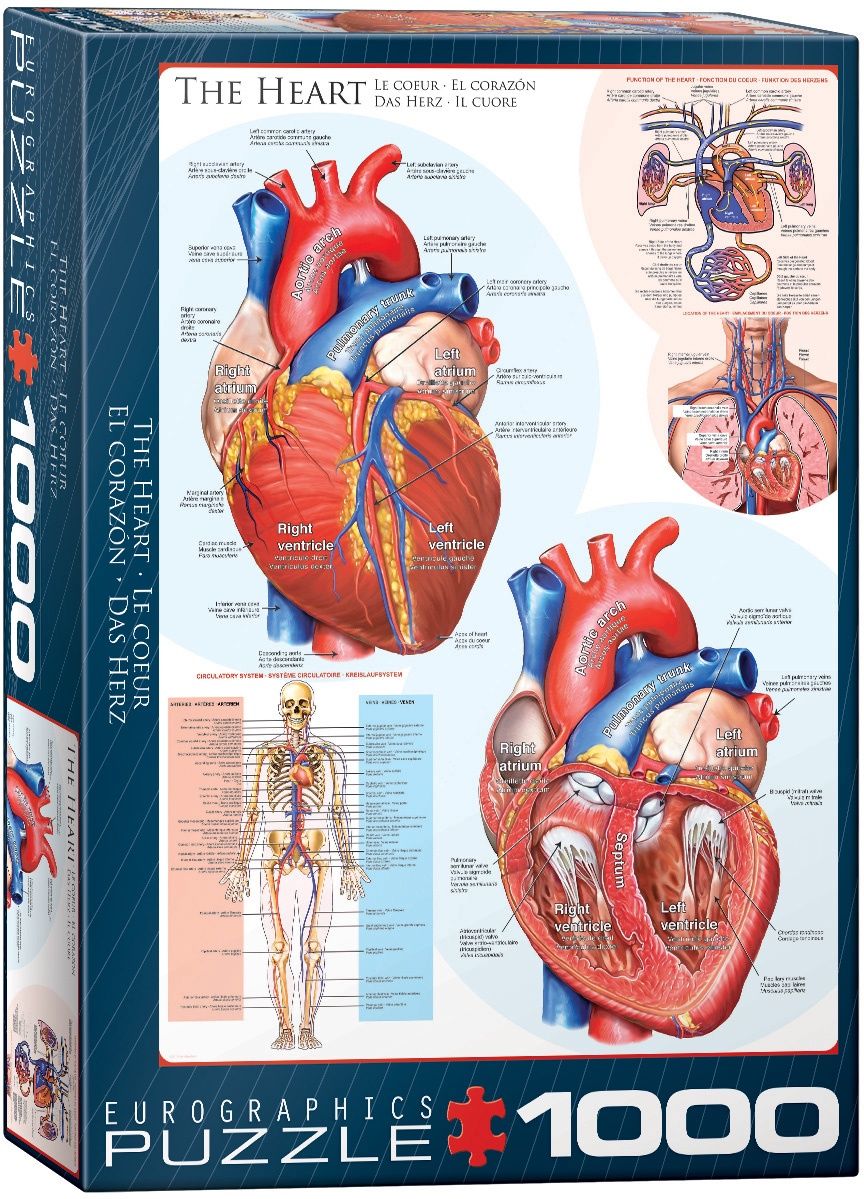 Eurographics 1000 Piece Puzzle - The Heart