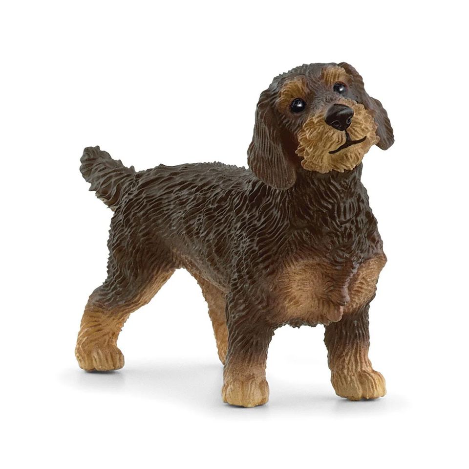 Schleich - Wire-Haired Dachsund
