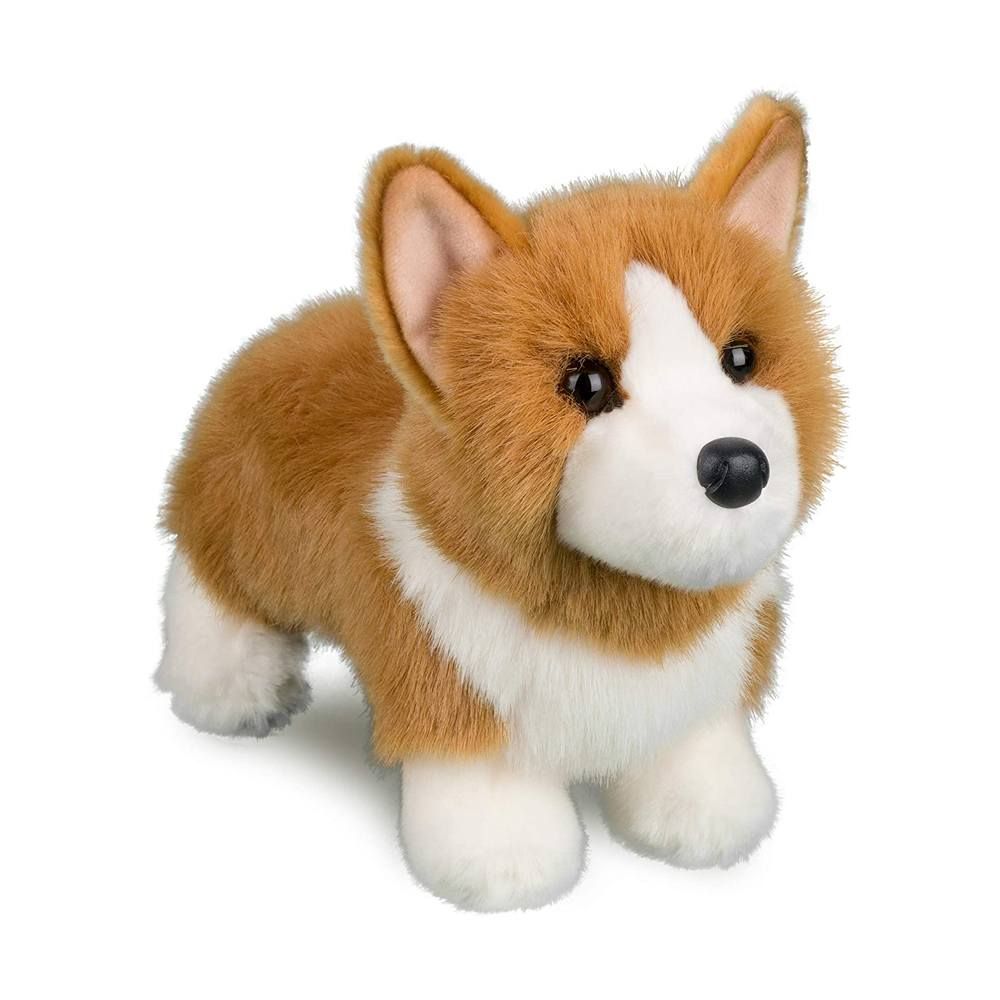 Douglas - Louie Corgi