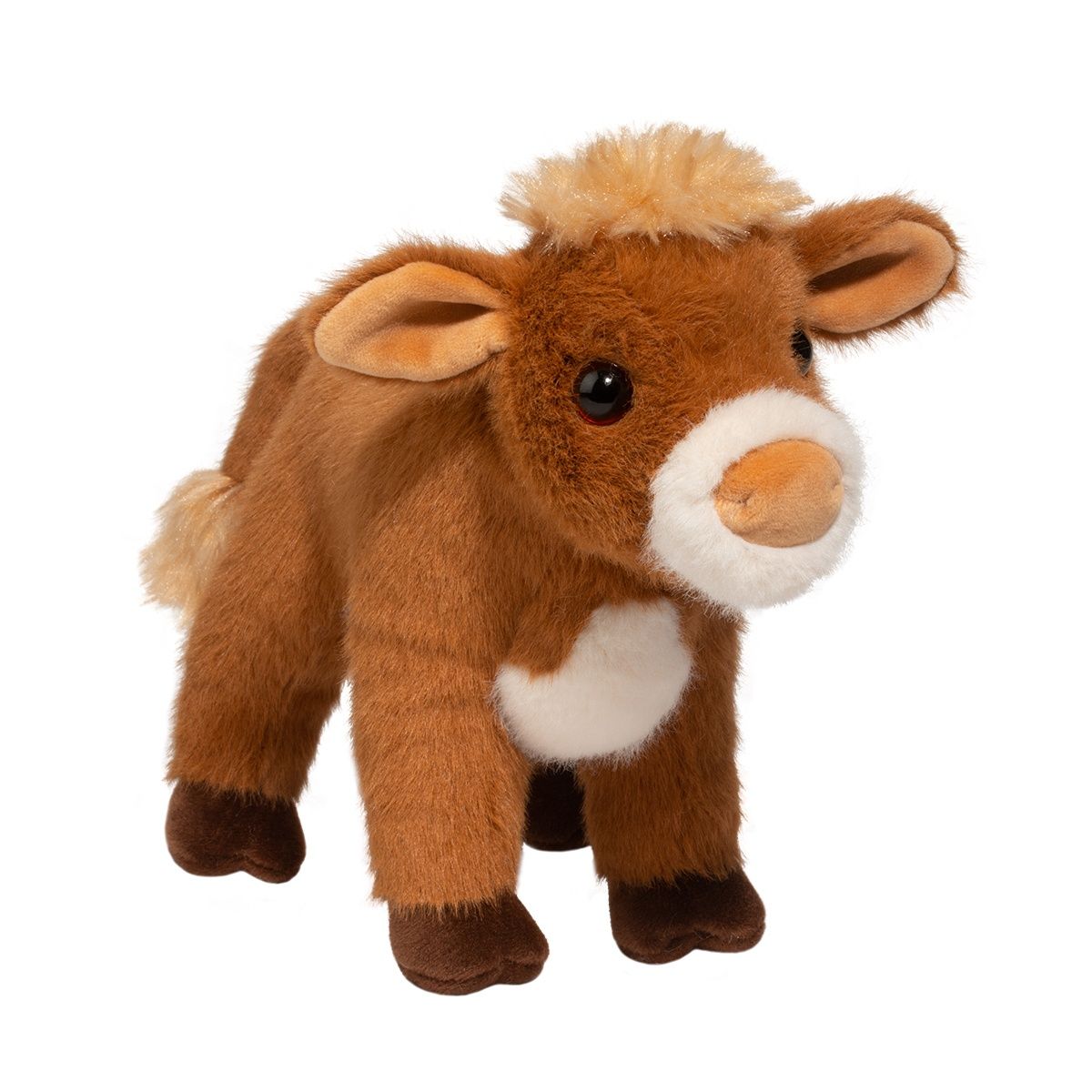 Douglas - Belle Jersey Cow