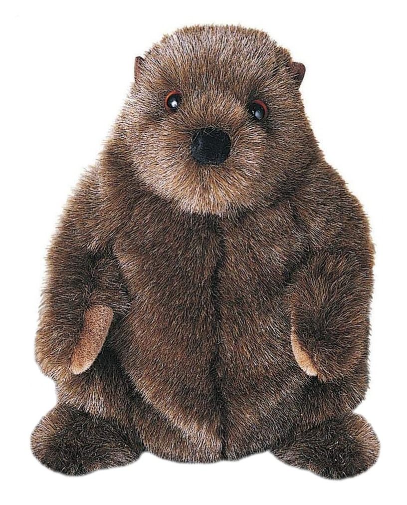 Douglas - Chuckwood Groundhog