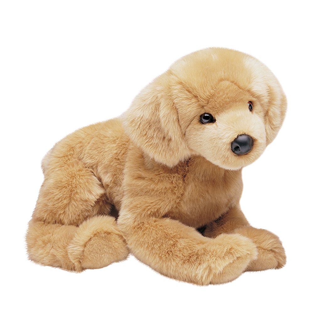 Douglas - Honey Golden Retriever