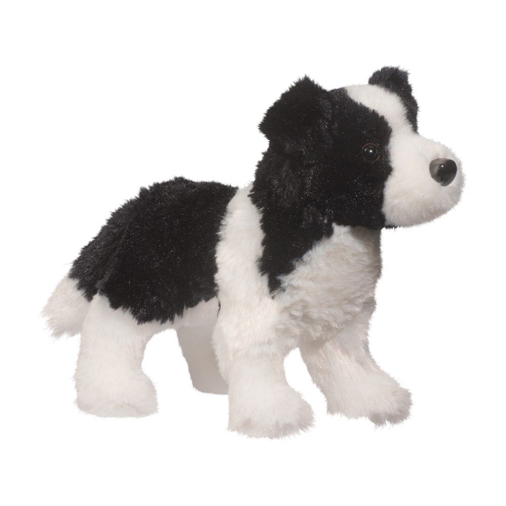 Douglas - Meadow Border Collie