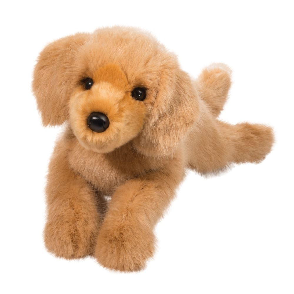 Douglas - Oakley DLux Golden Retriever