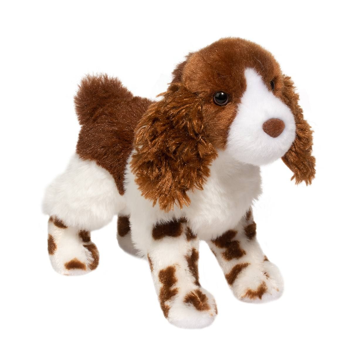 Douglas - Flair Springer Spaniel
