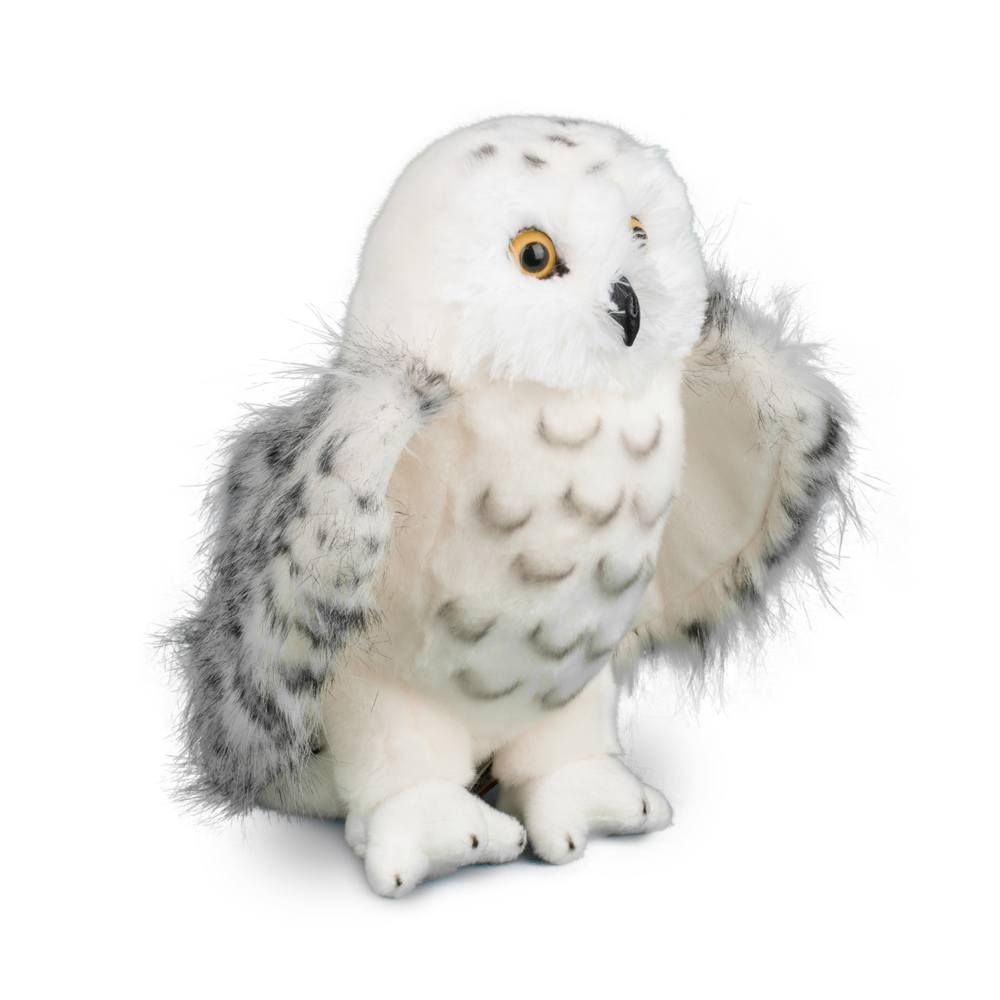 Douglas - Legend Snowy Owl