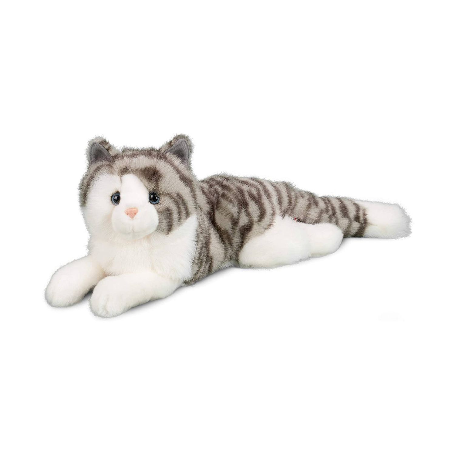 Douglas - Smokey Grey Cat