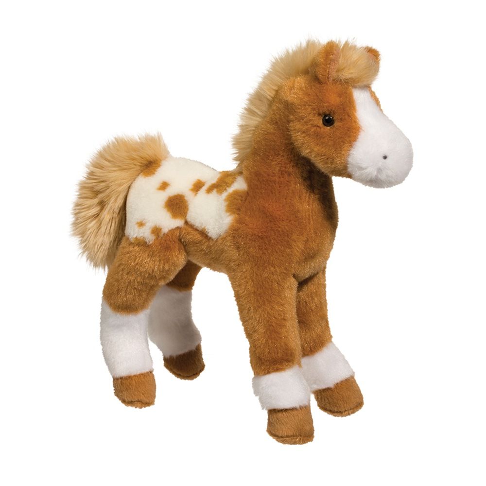 Douglas - Freckles Appaloosa Foal