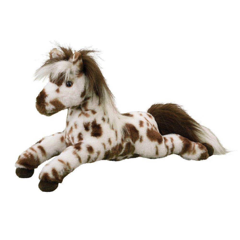 Douglas - Duke Appaloosa Horse