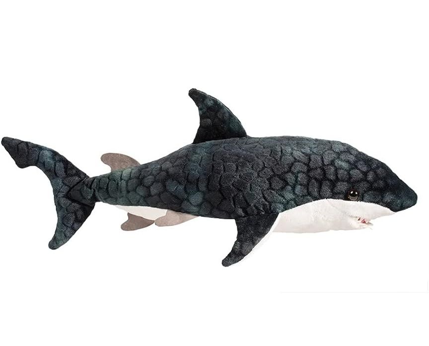 Douglas - Neptune Blue Shark