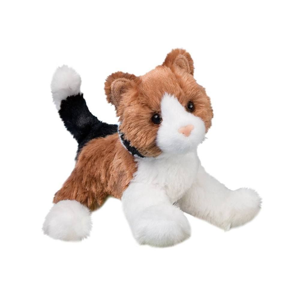 Douglas - Maps Calico Cat