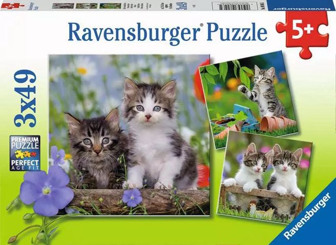Ravensburger 3x49 Piece Puzzles - Kittens