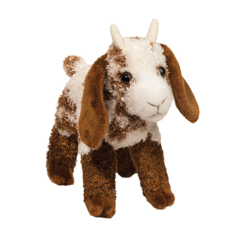 Douglas - Bodhi Goat