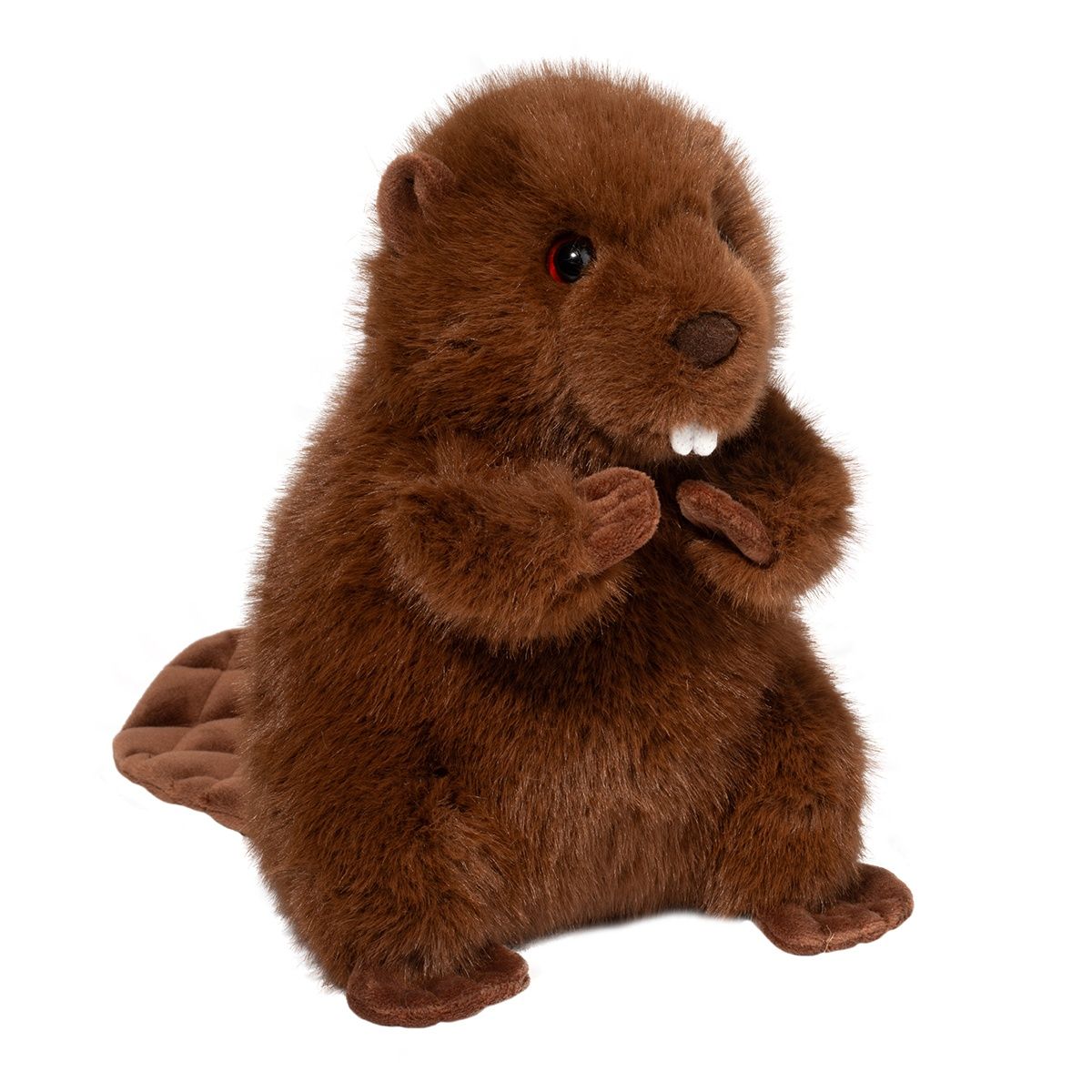 Douglas - Bev Beaver