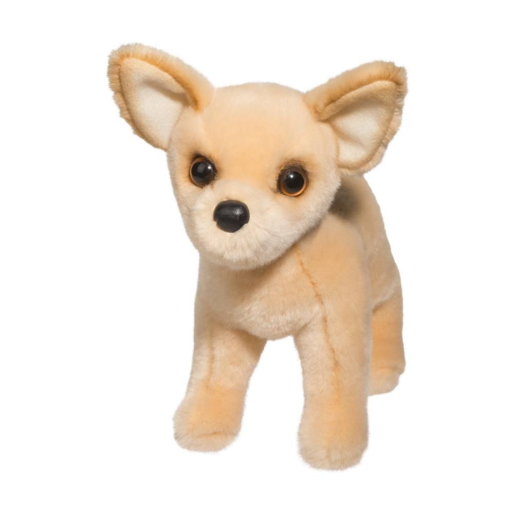 Douglas - Carlos Chihuahua
