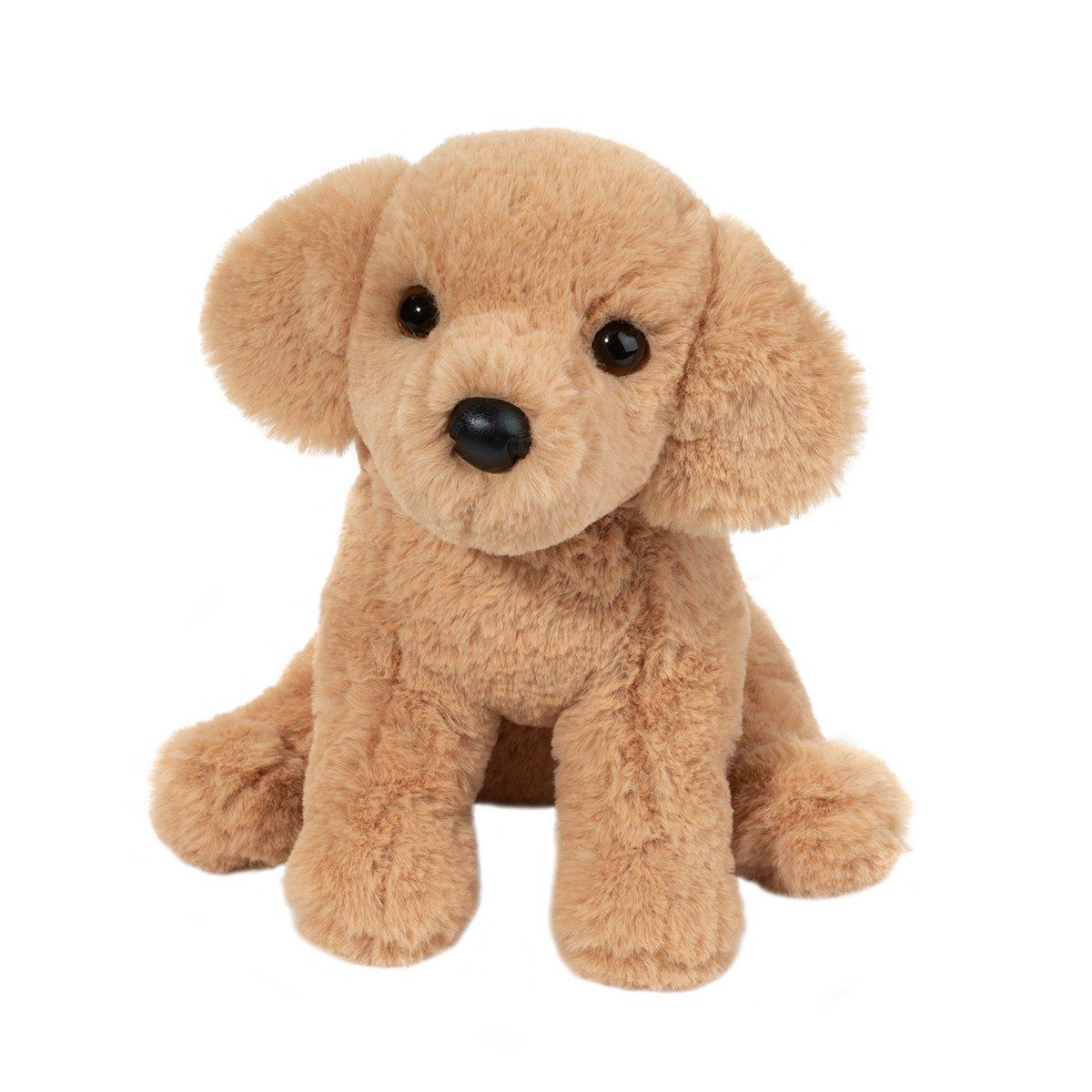 Douglas - Goldie Golden Retriever