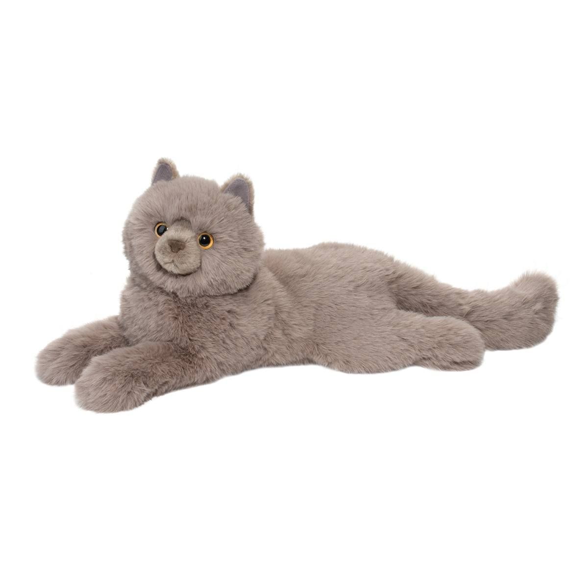 Douglas - Juliette Grey Persian Cat