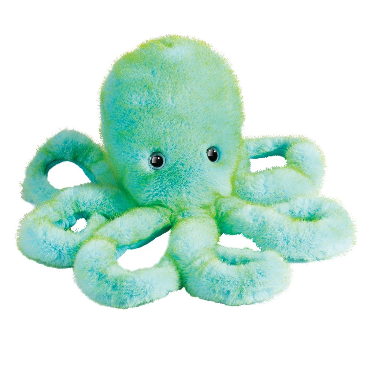 Douglas - Octavia Octopus