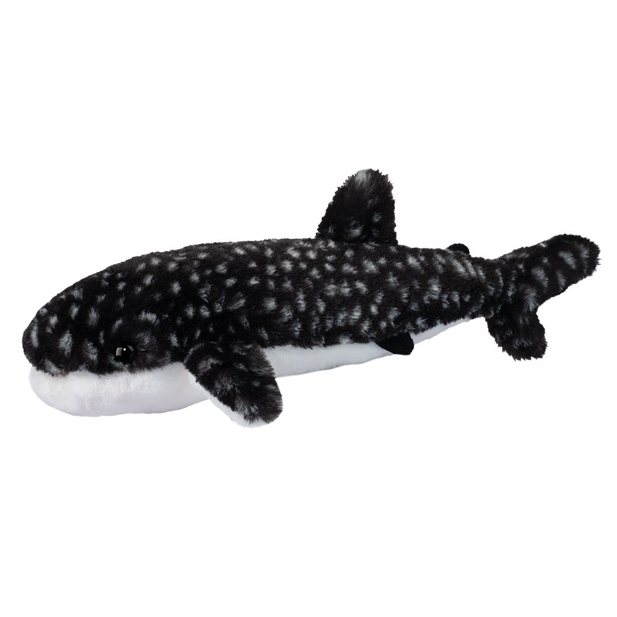 Douglas - Barnacle Whale Shark