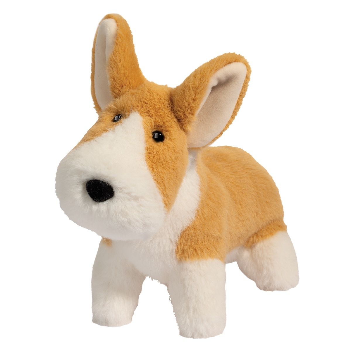 Douglas - Carl Corgi Muzzle