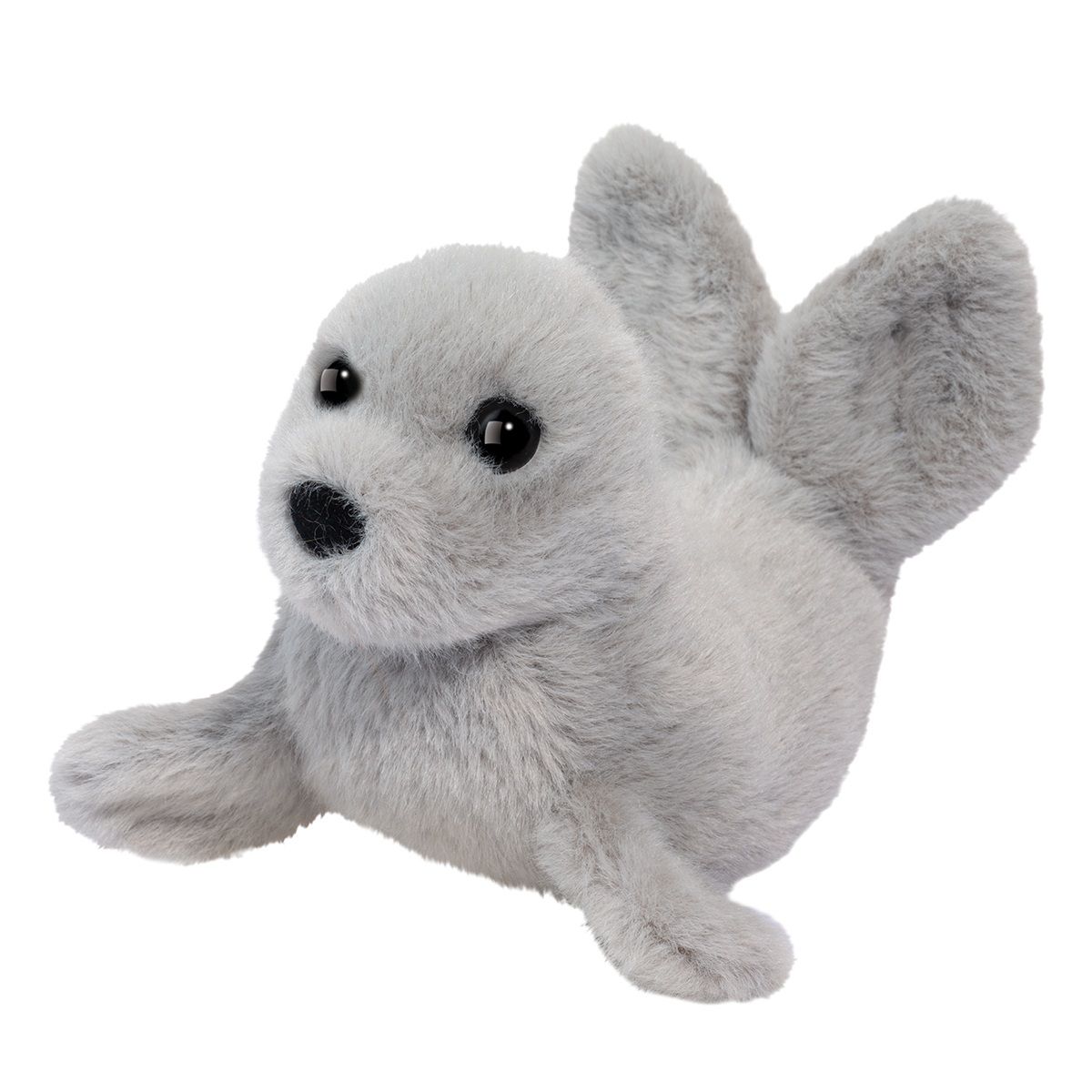 Douglas - Lil' Baby Seal
