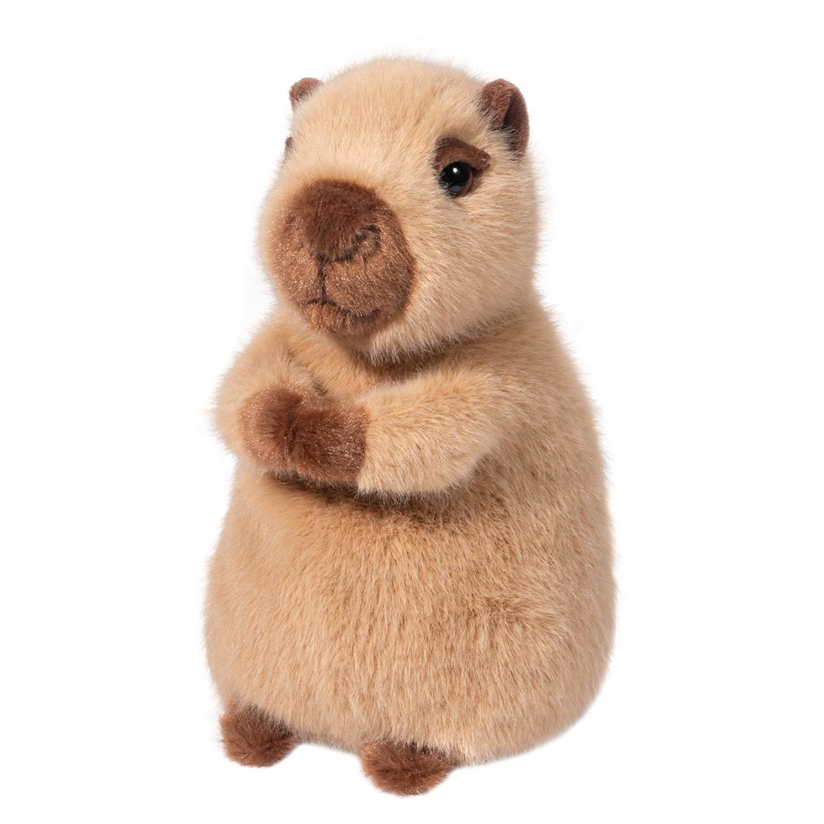 Douglas - Mini Chattie Capybara