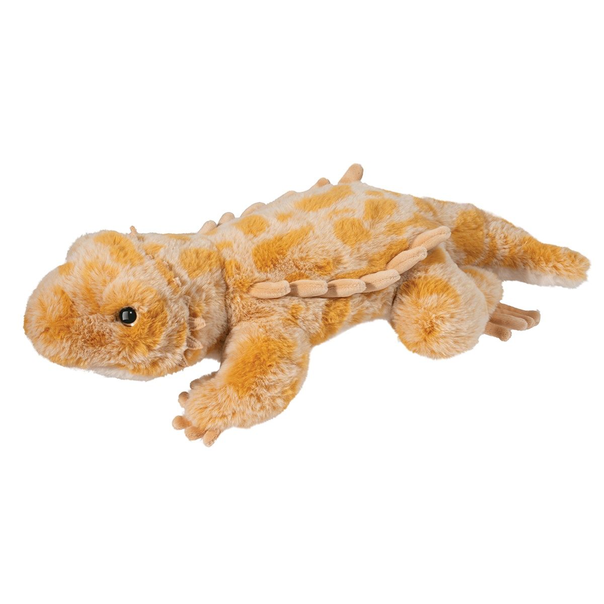 Douglas - Boogie Bearded Dragon