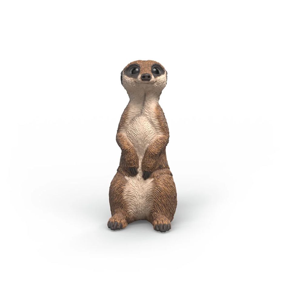 Schleich - Meerkat