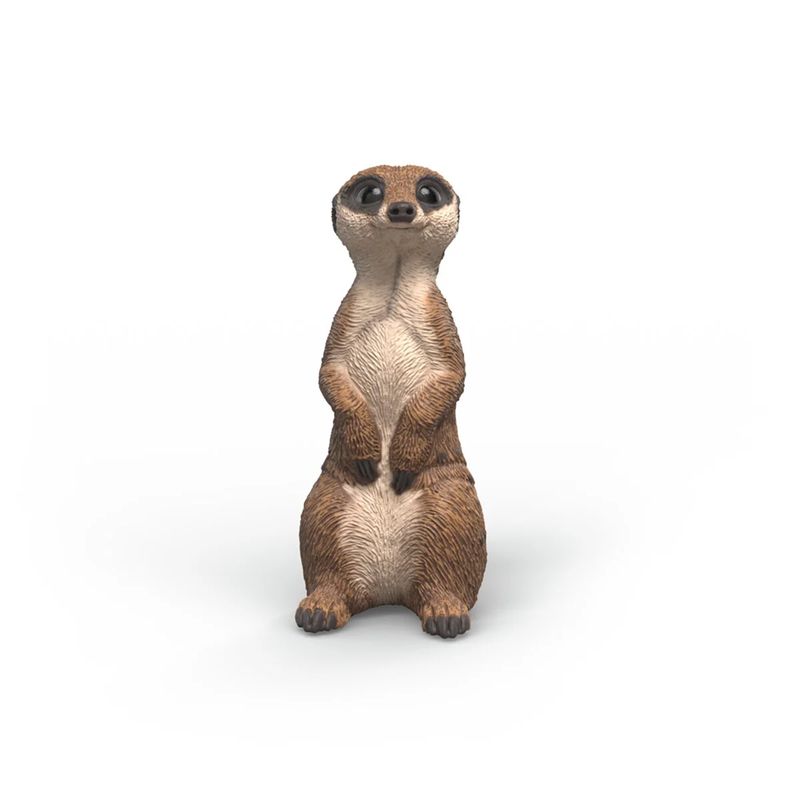 Schleich - Meerkat