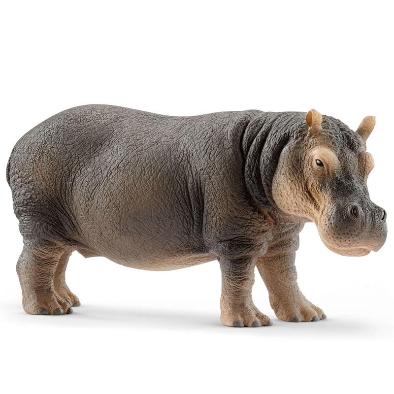 Schleich - Hippopotamus (2018 Ver.)
