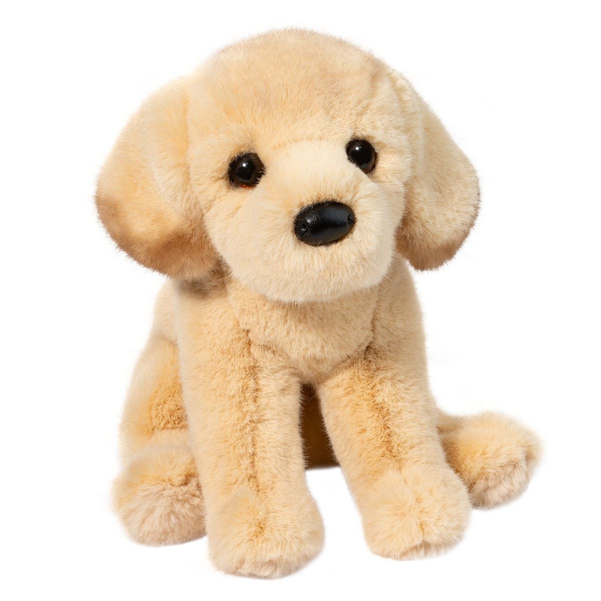 Douglas - Ace Yellow Lab