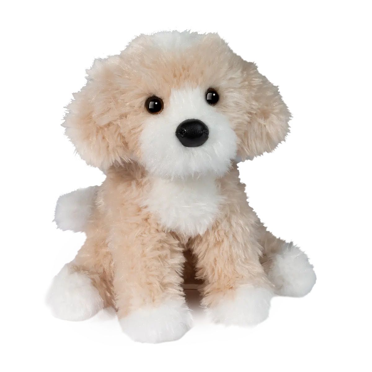 Douglas - Darcy Golden Doodle