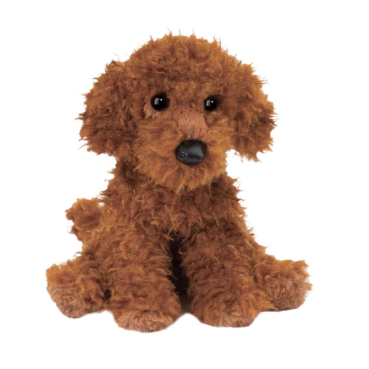 Douglas - Ginger Miniature Poodle