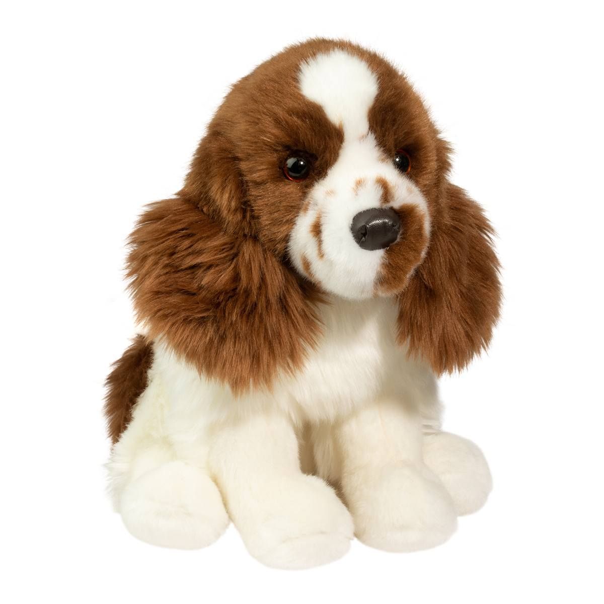 Douglas - Chip Springer Spaniel