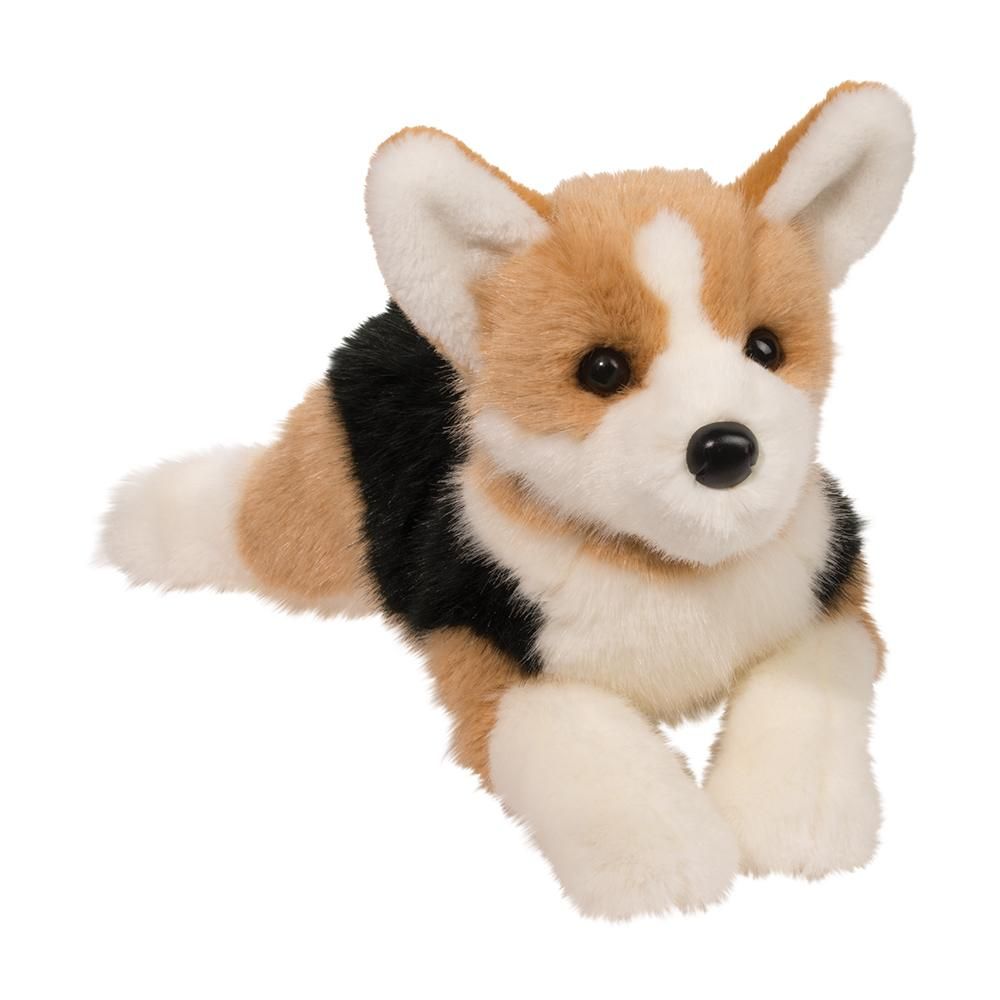 Douglas - Konner DLux Tri-Colour Corgi