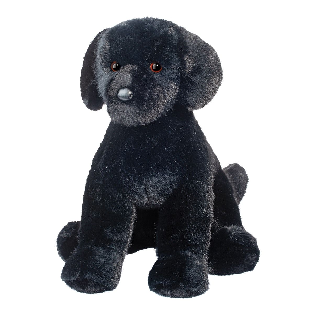 Douglas - Spruce Black Lab