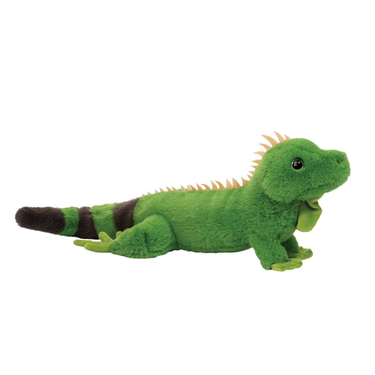 Douglas - Buddie Iguana